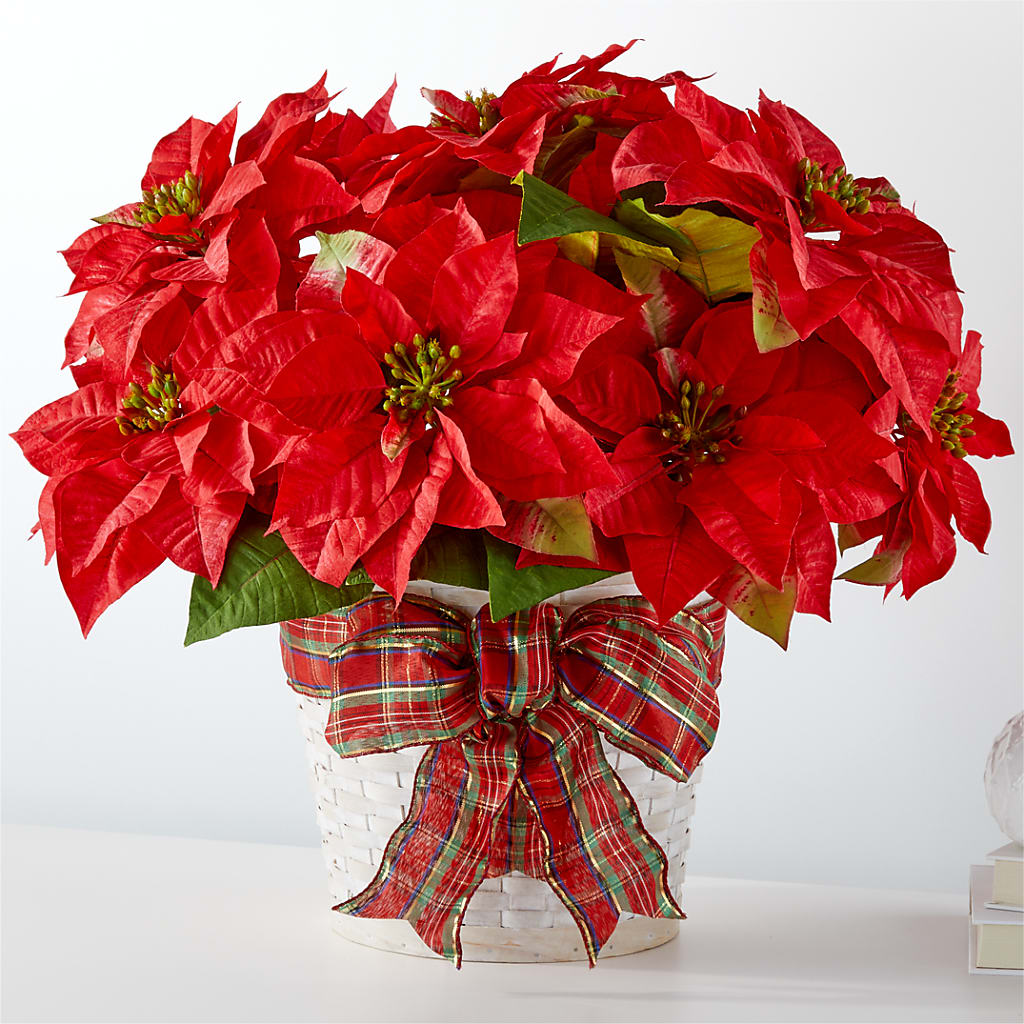 Happiest Holidays Poinsettia – HELEN'S FLORAL SHOPPE, Phillipsburg NJ