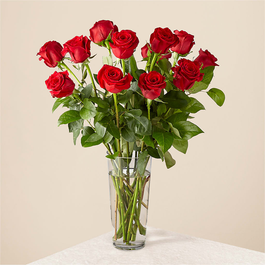 Long Stem Red Rose Bouquet – HELEN'S FLORAL SHOPPE, Phillipsburg NJ