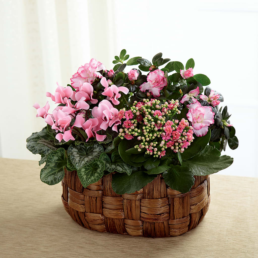 Pink Assortment – HELEN'S FLORAL SHOPPE, Phillipsburg NJ