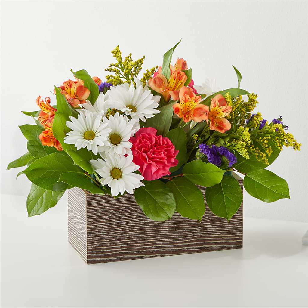 Oopsie Daisy Box Bouquet – HELEN'S FLORAL SHOPPE, Phillipsburg NJ