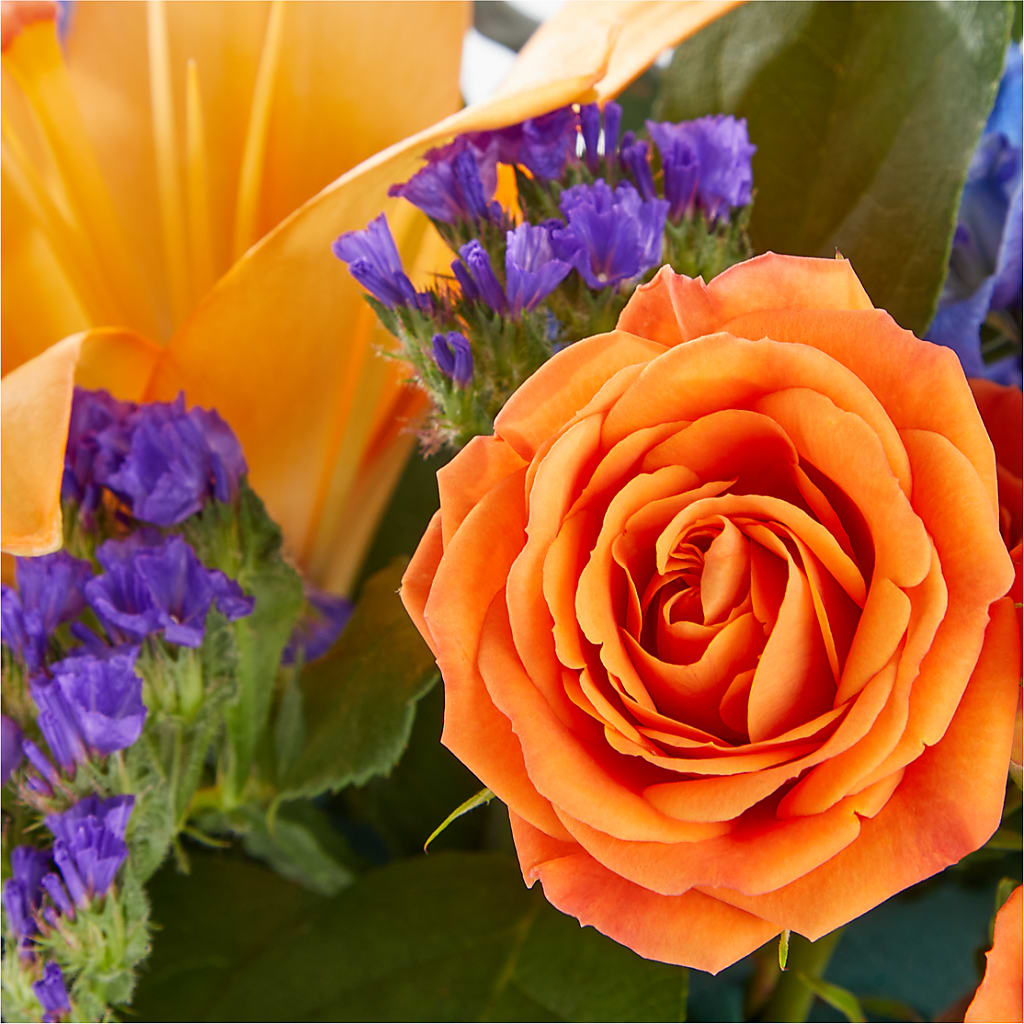 Radiant Citrus Box Bouquet – HELEN'S FLORAL SHOPPE, Phillipsburg NJ