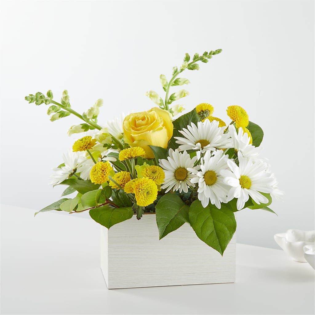 Sun Salutation Box Bouquet – HELEN'S FLORAL SHOPPE, Phillipsburg NJ