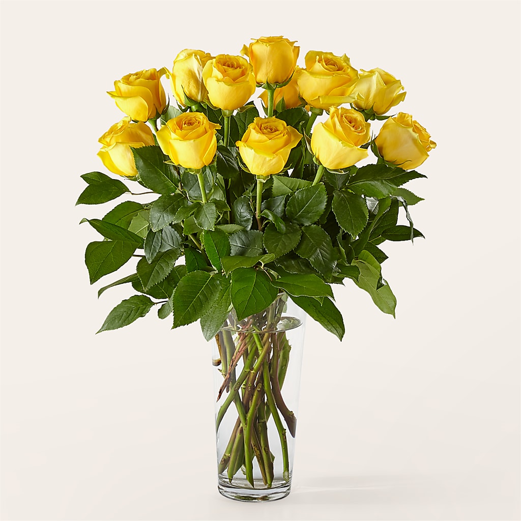 Long Stem Yellow Rose Bouquet – HELEN'S FLORAL SHOPPE, Phillipsburg NJ