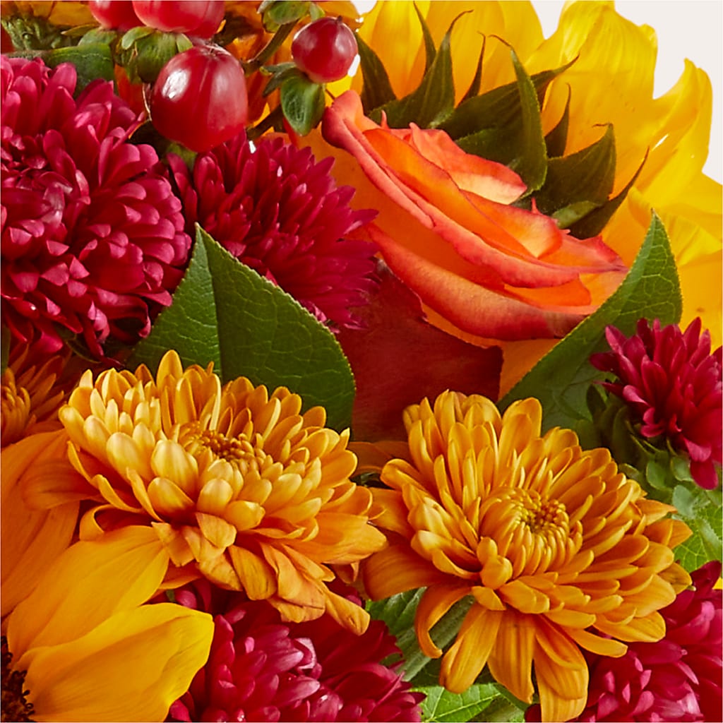 Sweater Season - A Florist Original – HELEN'S FLORAL SHOPPE, Phillipsburg NJ