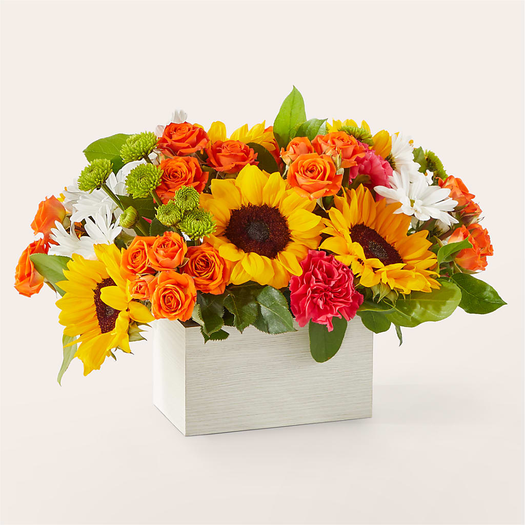 Sun-drenched Blooms Box Bouquet – HELEN'S FLORAL SHOPPE, Phillipsburg NJ