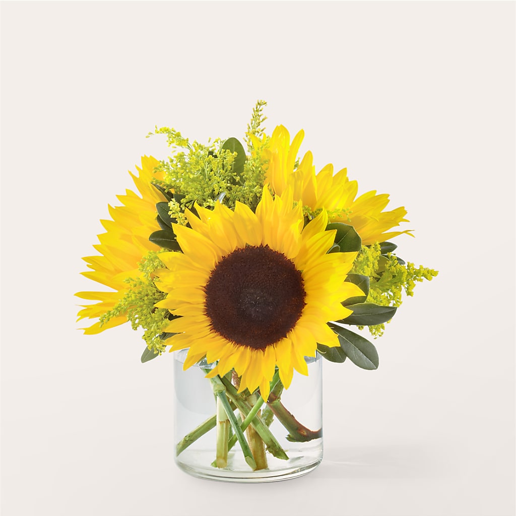 Beaming Sunflower Bouquet – HELEN'S FLORAL SHOPPE, Phillipsburg NJ