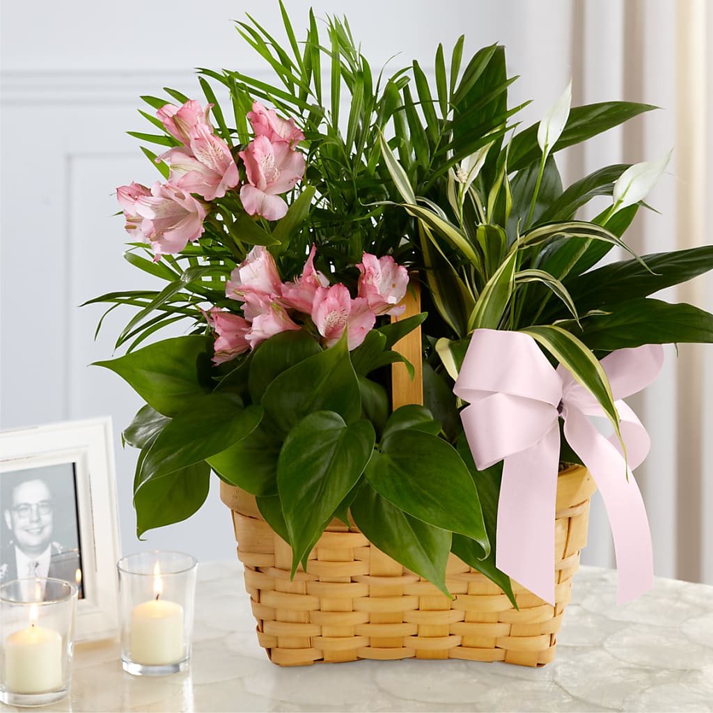 Living Spirit Dishgarden – HELEN'S FLORAL SHOPPE, Phillipsburg NJ