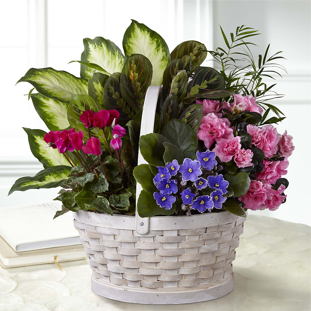 Peaceful Garden Planter – HELEN'S FLORAL SHOPPE, Phillipsburg NJ