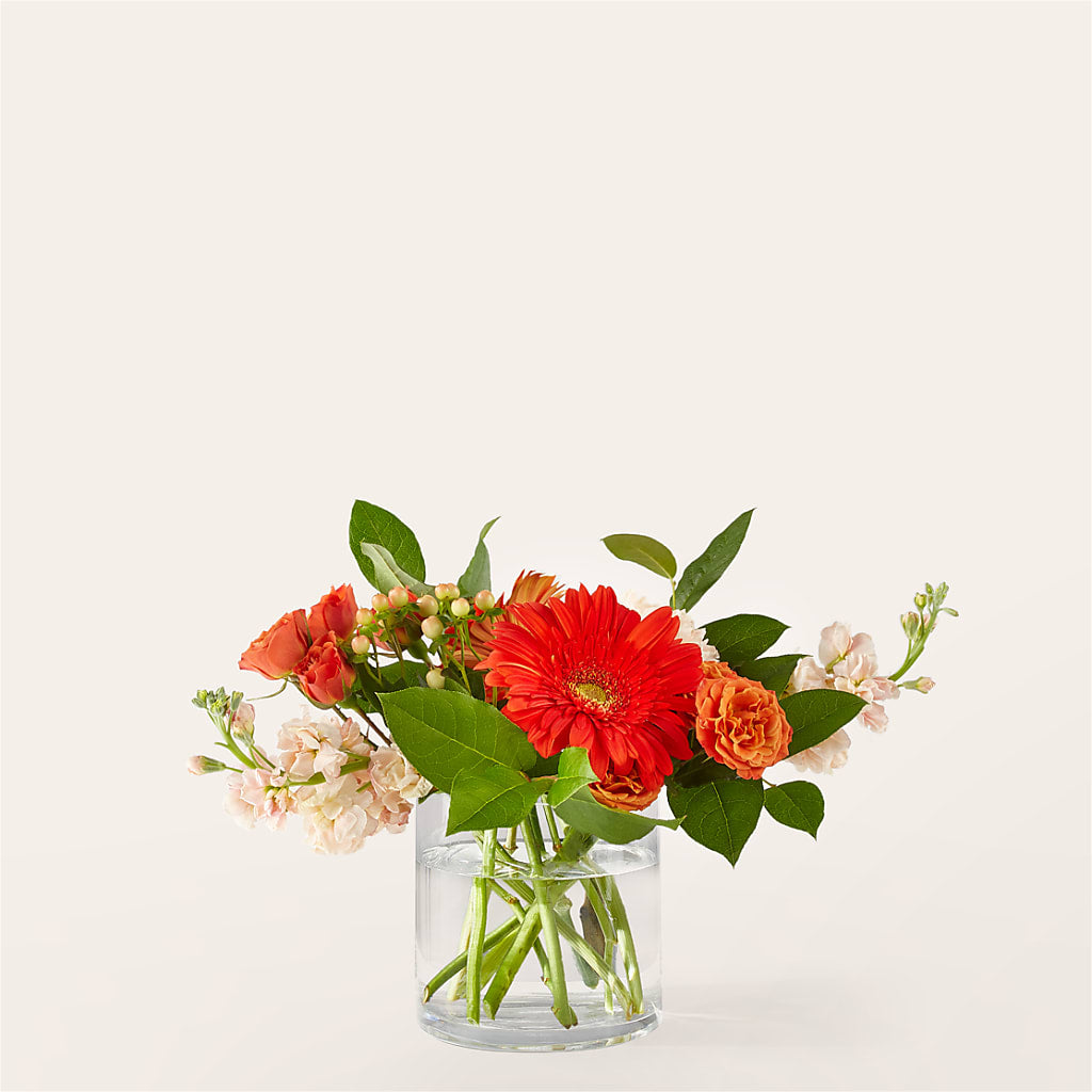 Paloma Please Bouquet – HELEN'S FLORAL SHOPPE, Phillipsburg NJ