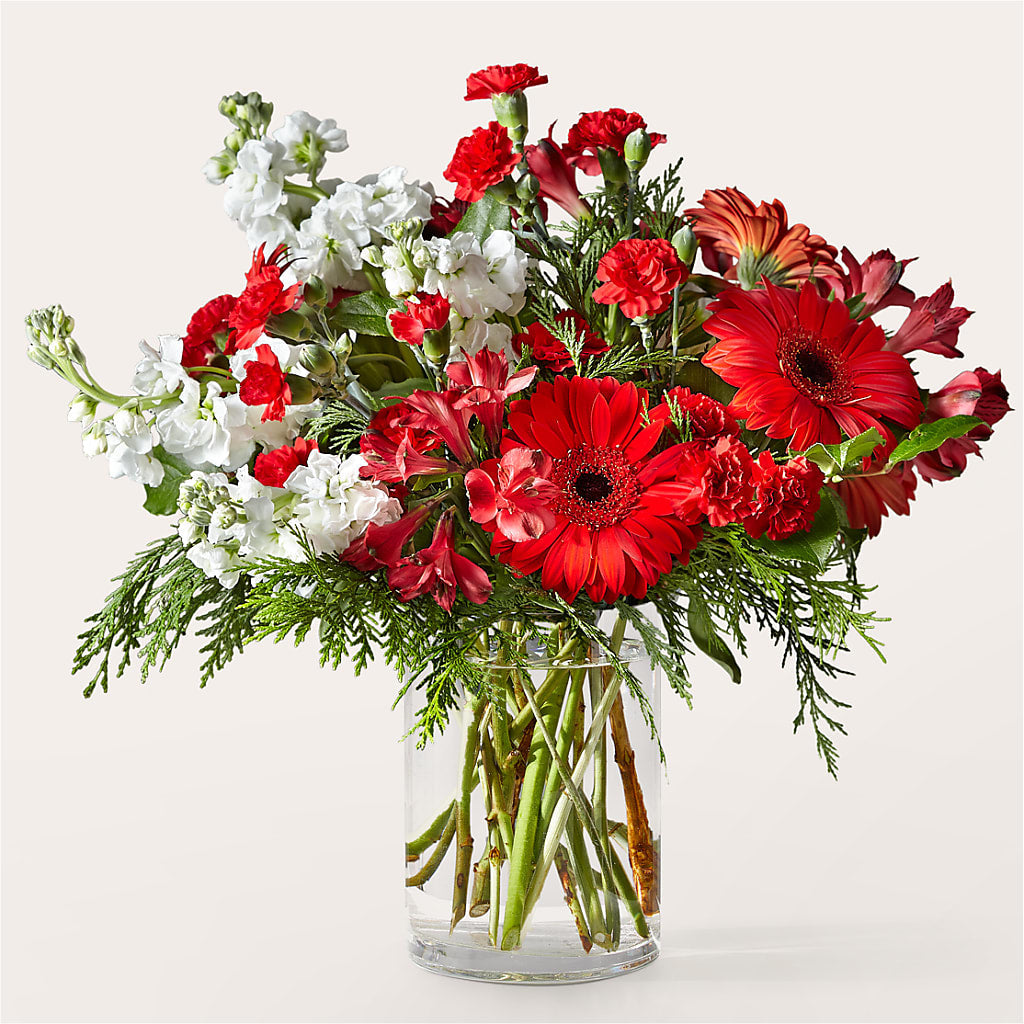 Holidaisy Bouquet – HELEN'S FLORAL SHOPPE, Phillipsburg NJ