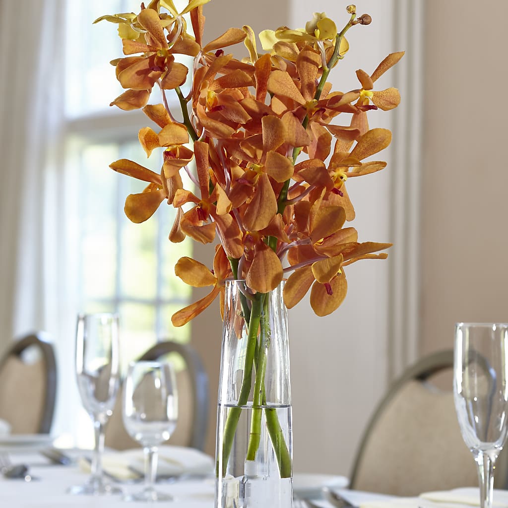 Orange Mokara Bud Vase – HELEN'S FLORAL SHOPPE, Phillipsburg NJ