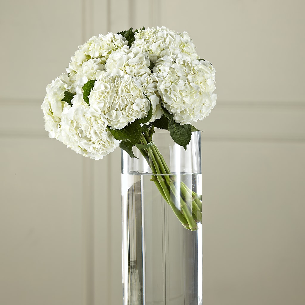 White Hydrangea Hand-Tied Bouquet – HELEN'S FLORAL SHOPPE, Phillipsburg NJ