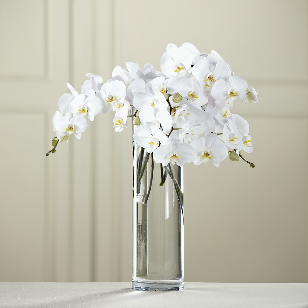 White Phalaenopsis Bouquet – HELEN'S FLORAL SHOPPE, Phillipsburg NJ