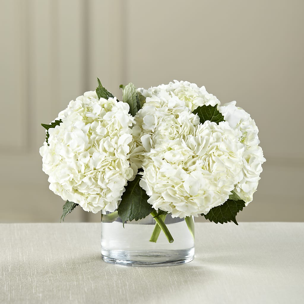 White Hydrangea Bouquet – HELEN'S FLORAL SHOPPE, Phillipsburg NJ