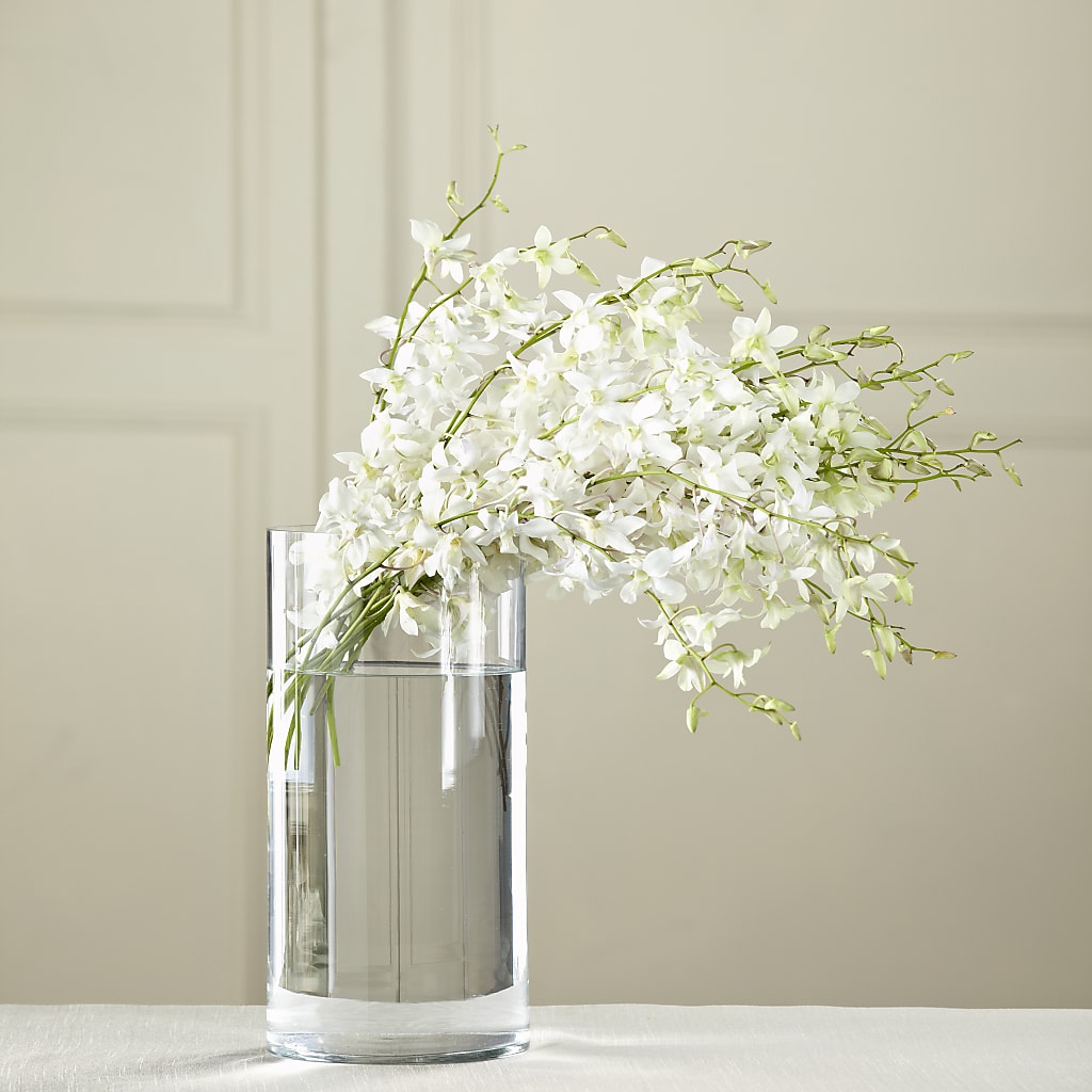 White Dendrobium Bouquet – HELEN'S FLORAL SHOPPE, Phillipsburg NJ