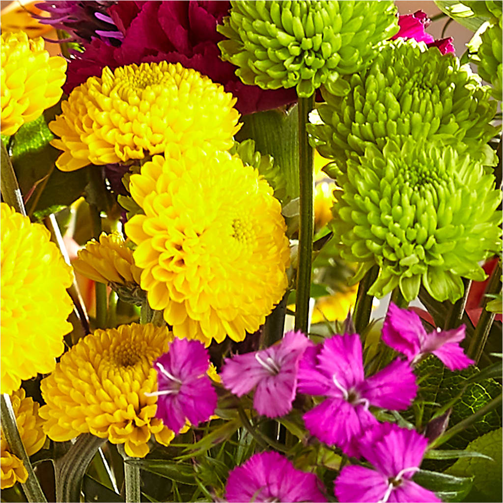 Bold & Bright – A Florist Original – HELEN'S FLORAL SHOPPE, Phillipsburg NJ