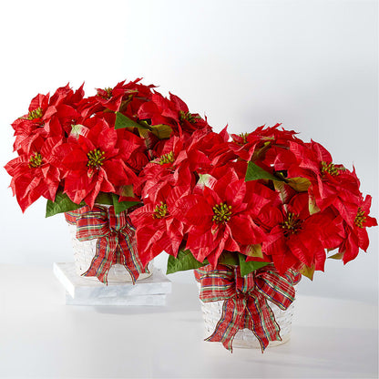 Happiest Holidays Poinsettia Bundle – HELEN'S FLORAL SHOPPE, Phillipsburg NJ