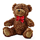 Adorable Plush Bear – HELEN'S FLORAL SHOPPE, Phillipsburg NJ