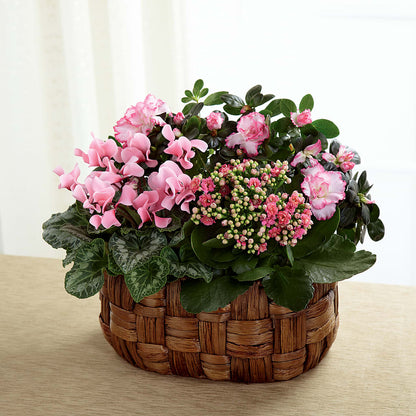 Pink Assortment – HELEN'S FLORAL SHOPPE, Phillipsburg NJ