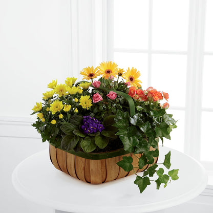Gentle Blossoms Basket – HELEN'S FLORAL SHOPPE, Phillipsburg NJ