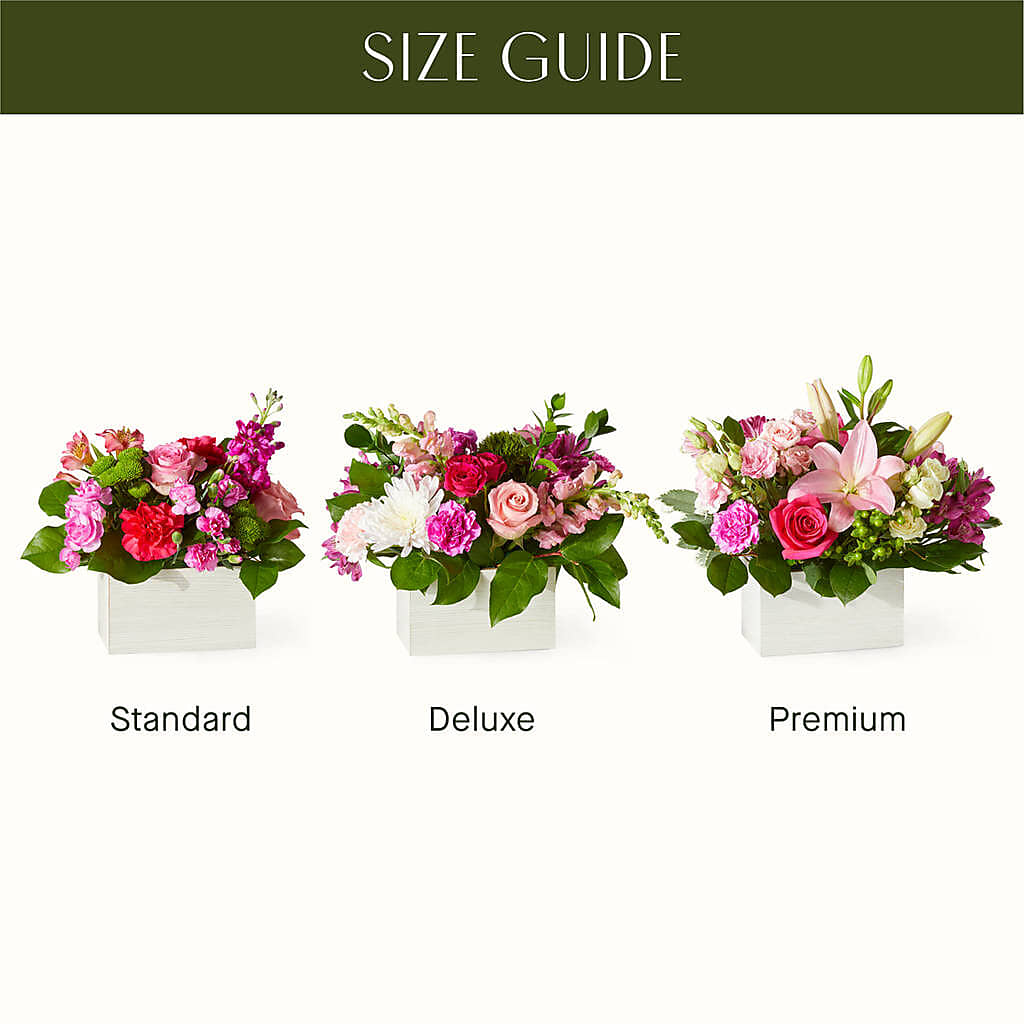 Sweetberry Box – A Florist Original – HELEN'S FLORAL SHOPPE, Phillipsburg NJ