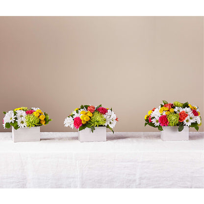 Sorbet Bouquet – HELEN'S FLORAL SHOPPE, Phillipsburg NJ