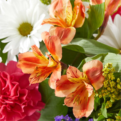 Oopsie Daisy Box Bouquet – HELEN'S FLORAL SHOPPE, Phillipsburg NJ