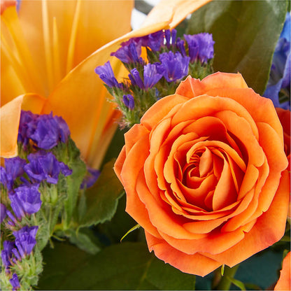 Radiant Citrus Box Bouquet – HELEN'S FLORAL SHOPPE, Phillipsburg NJ