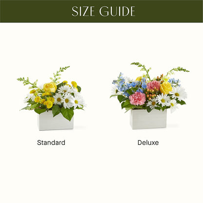 Sun Salutation Box Bouquet – HELEN'S FLORAL SHOPPE, Phillipsburg NJ