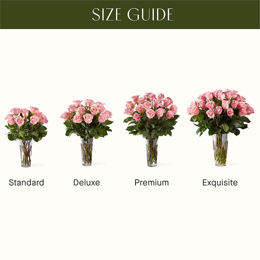 Long Stem Pink Rose Bouquet – HELEN'S FLORAL SHOPPE, Phillipsburg NJ