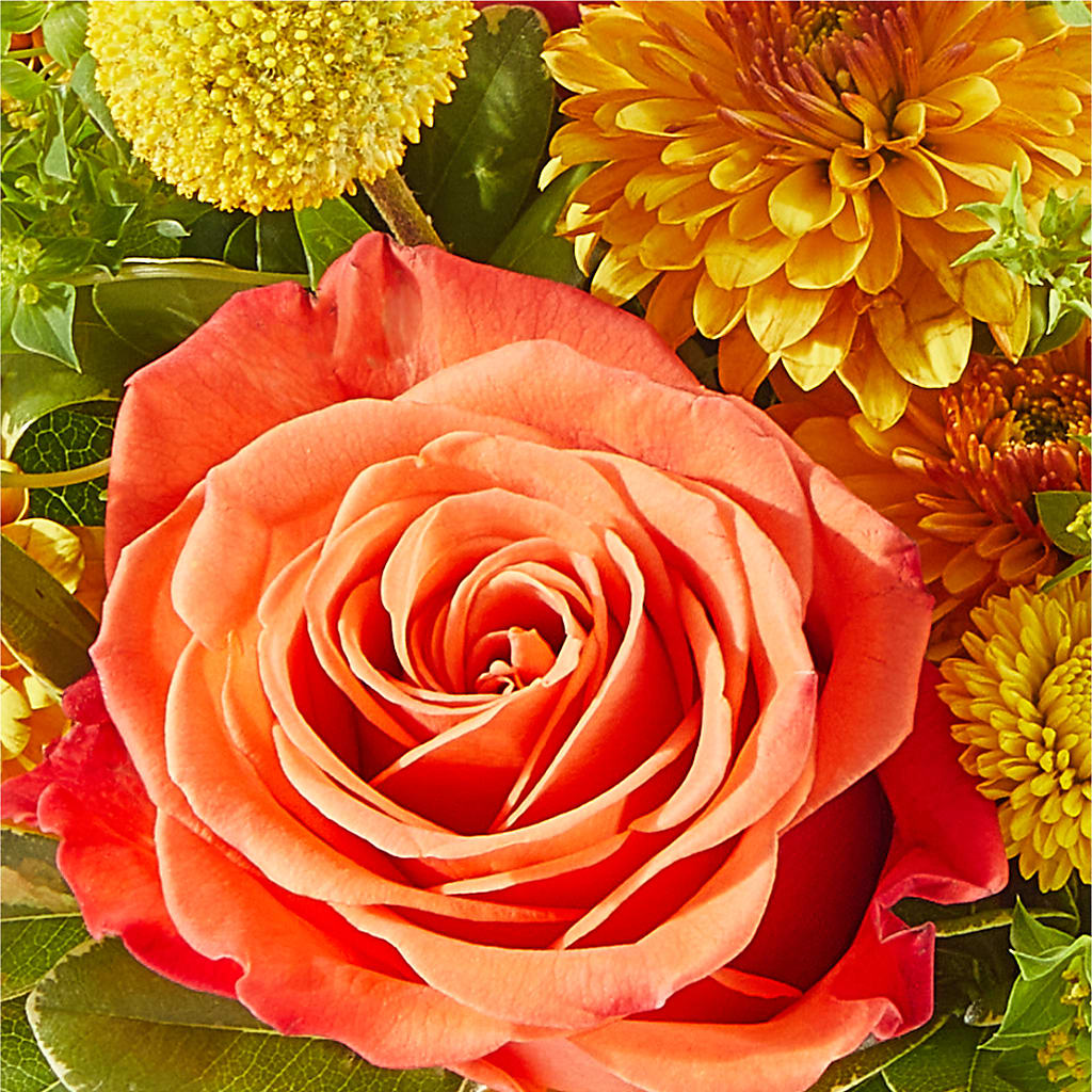 Gourdgeous Pumpkin – HELEN'S FLORAL SHOPPE, Phillipsburg NJ