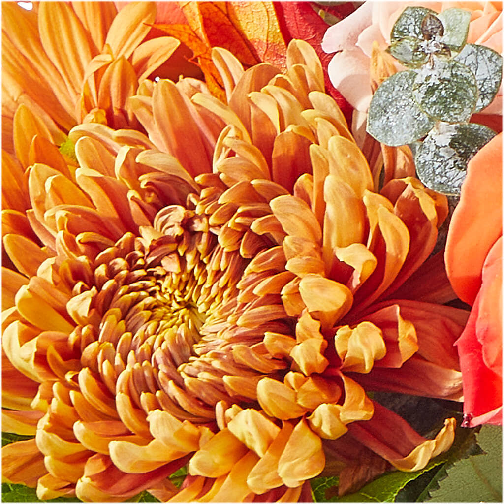 Scenic Route Bouquet – HELEN'S FLORAL SHOPPE, Phillipsburg NJ