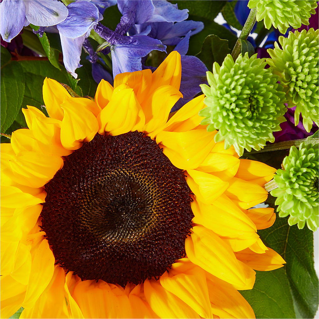 Catching Rays Bouquet – HELEN'S FLORAL SHOPPE, Phillipsburg NJ