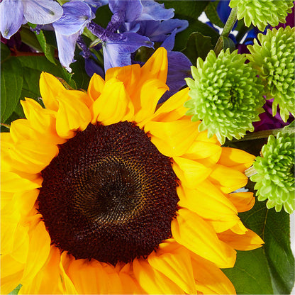 Catching Rays Bouquet – HELEN'S FLORAL SHOPPE, Phillipsburg NJ
