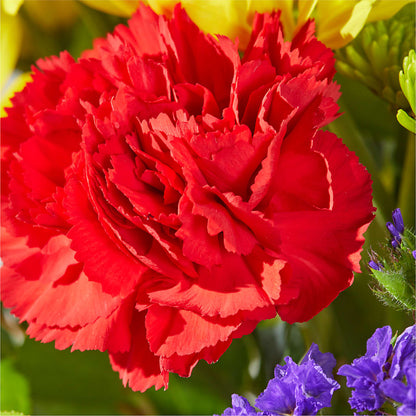 Brighter Days Bouquet – HELEN'S FLORAL SHOPPE, Phillipsburg NJ