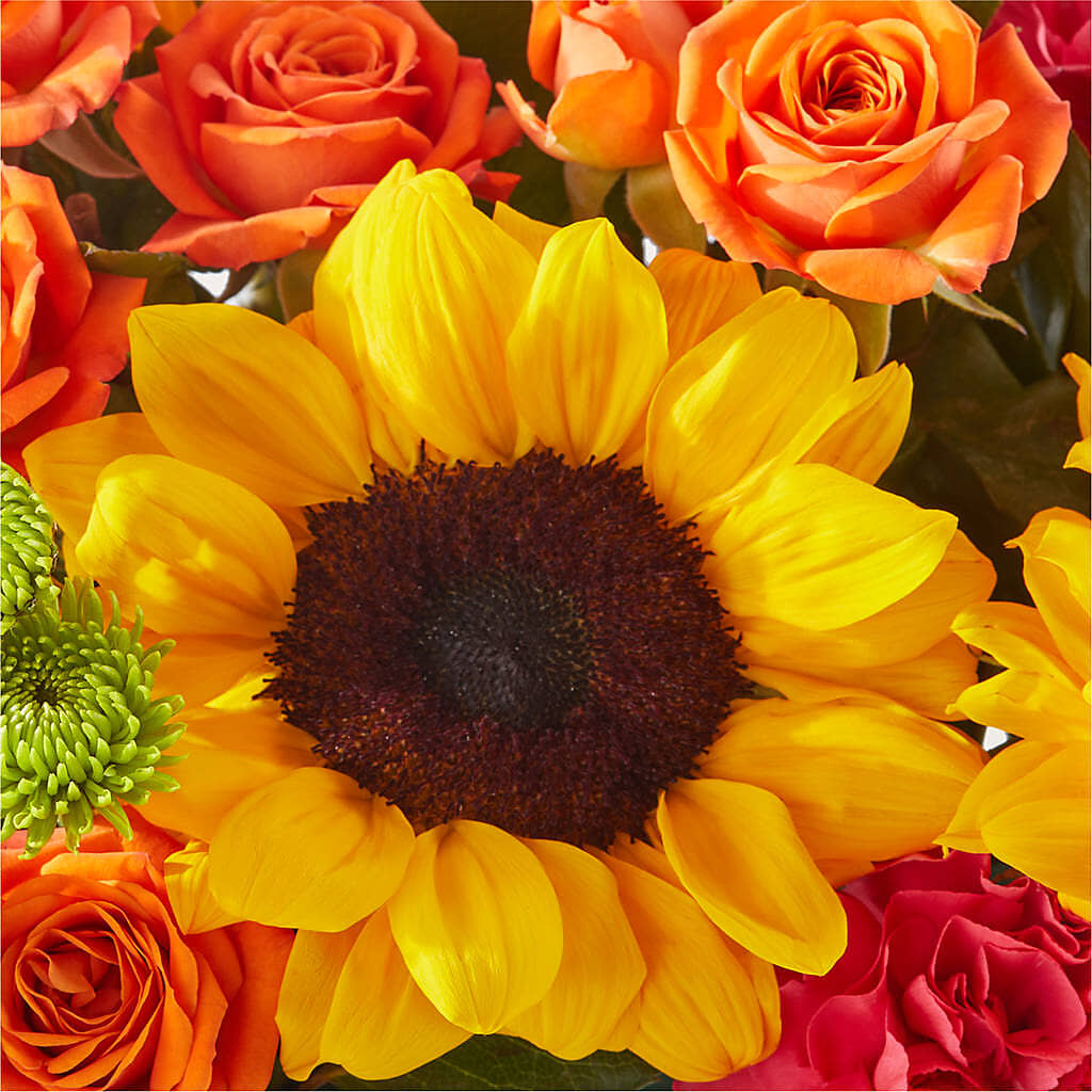 Sun-drenched Blooms Box Bouquet – HELEN'S FLORAL SHOPPE, Phillipsburg NJ