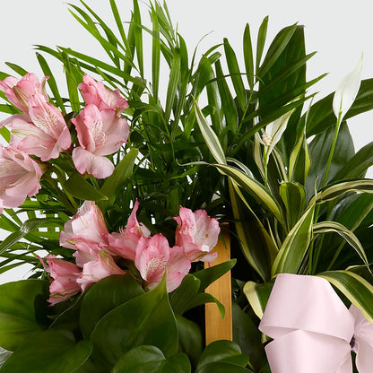 Living Spirit Dishgarden – HELEN'S FLORAL SHOPPE, Phillipsburg NJ