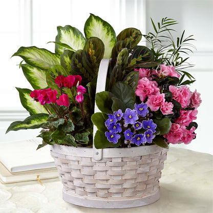Peaceful Garden Planter – HELEN'S FLORAL SHOPPE, Phillipsburg NJ