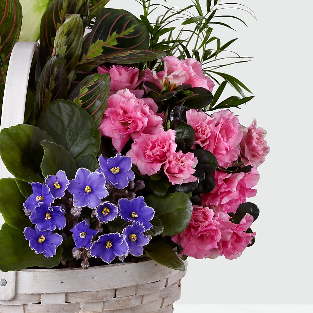 Peaceful Garden Planter – HELEN'S FLORAL SHOPPE, Phillipsburg NJ
