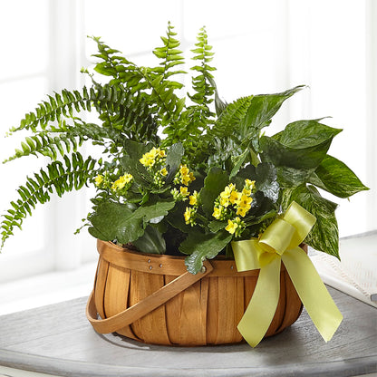 Always Dear Dishgarden – HELEN'S FLORAL SHOPPE, Phillipsburg NJ