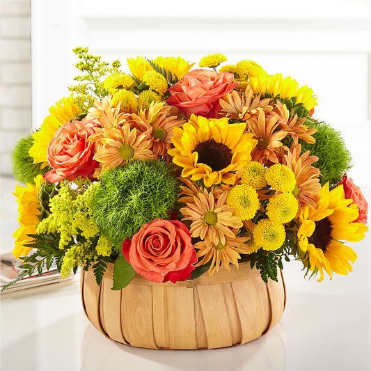 Harvest Sunflower Basket – HELEN'S FLORAL SHOPPE, Phillipsburg NJ
