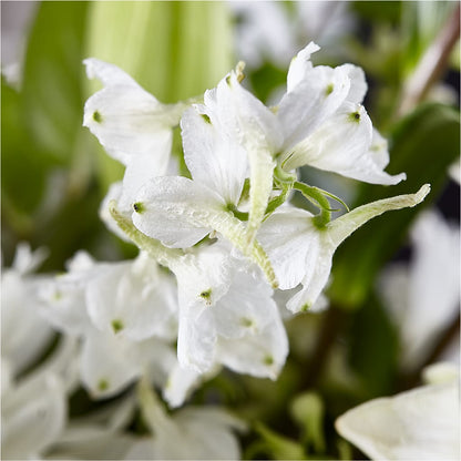 Classic Ivory – A Florist Original – HELEN'S FLORAL SHOPPE, Phillipsburg NJ