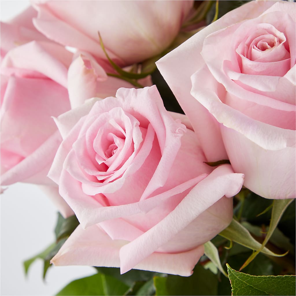 Picture Perfect Pink Rose Bouquet – HELEN'S FLORAL SHOPPE, Phillipsburg NJ