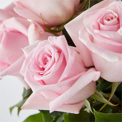 Picture Perfect Pink Rose Bouquet – HELEN'S FLORAL SHOPPE, Phillipsburg NJ