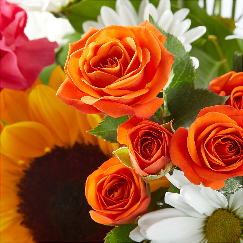 Sun-drenched Blooms Bouquet – HELEN'S FLORAL SHOPPE, Phillipsburg NJ