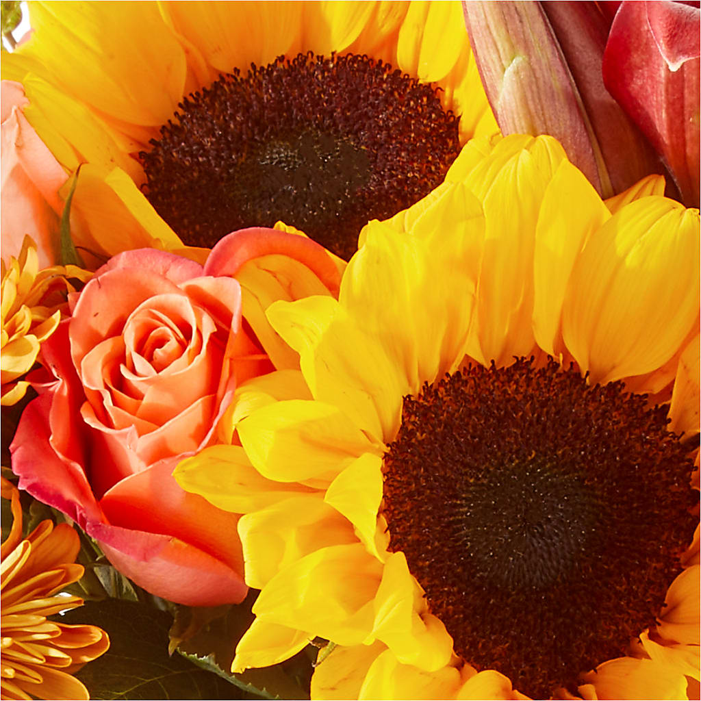 Acorn Lane Bouquet – HELEN'S FLORAL SHOPPE, Phillipsburg NJ