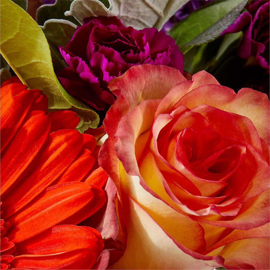 Sangria Bouquet – HELEN'S FLORAL SHOPPE, Phillipsburg NJ