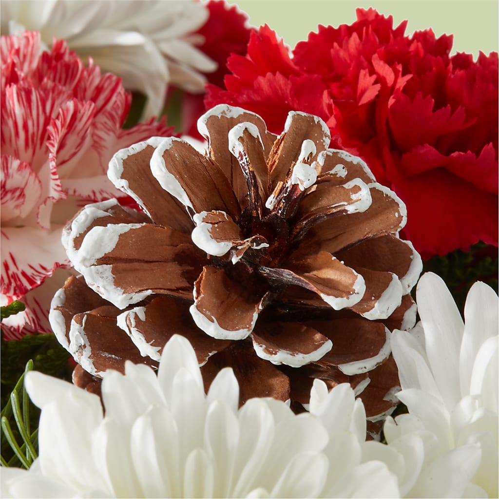 Candy Cane Lane Bouquet – HELEN'S FLORAL SHOPPE, Phillipsburg NJ