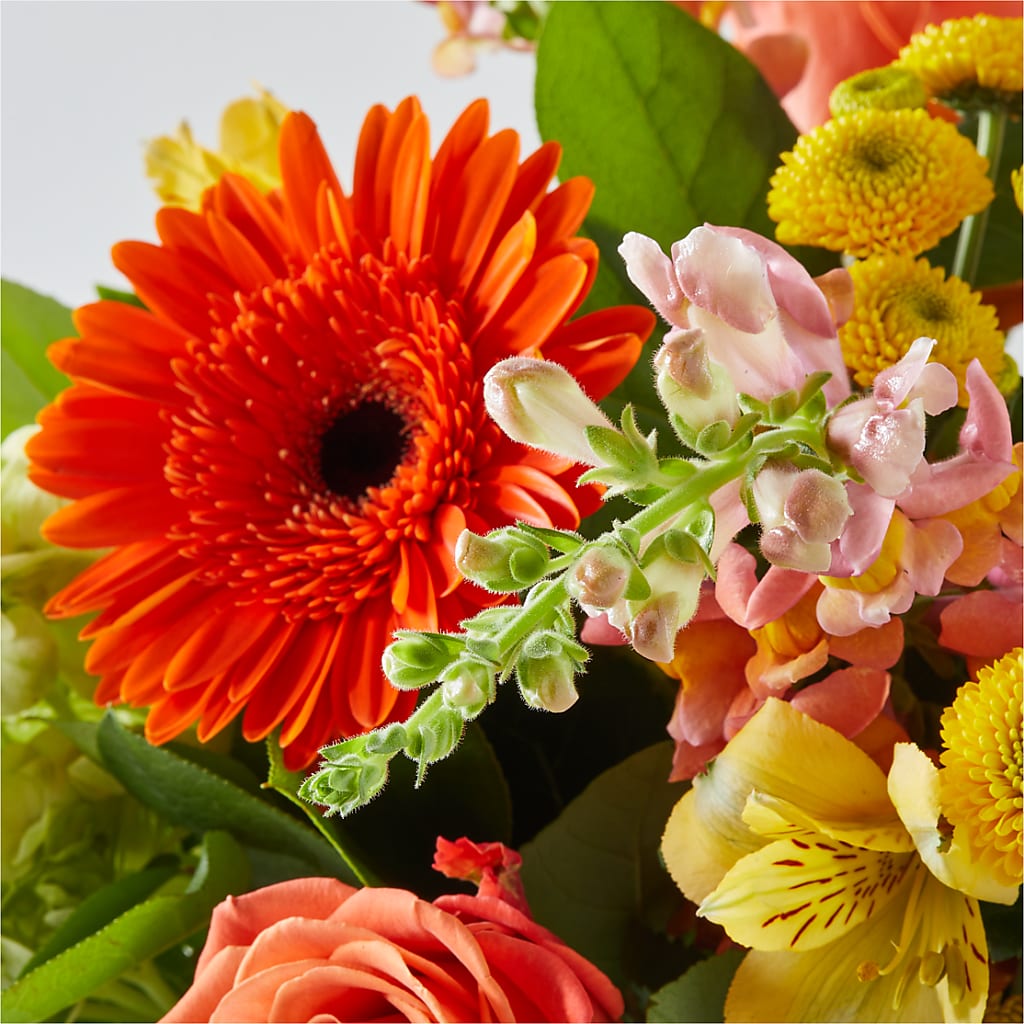 Autumn Sunshine Bouquet – HELEN'S FLORAL SHOPPE, Phillipsburg NJ