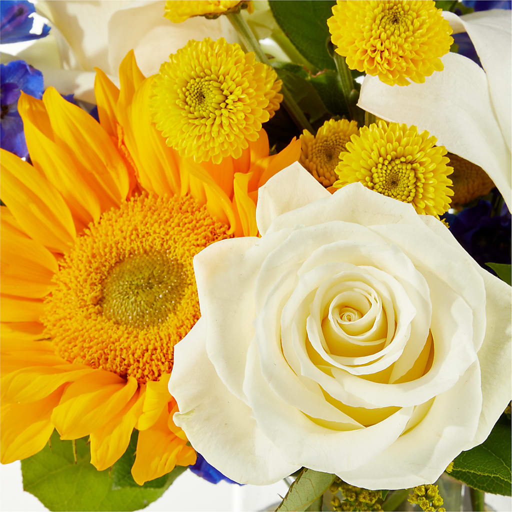 Stargazing Bouquet – HELEN'S FLORAL SHOPPE, Phillipsburg NJ